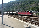 SH109594