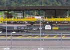 IMG 0238