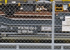 IMG 0239