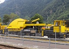 IMG 0241