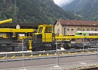 IMG 0251