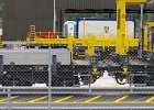 IMG 0267