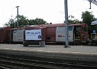 IMG 1340