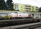 IMG 1863