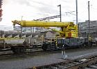 IMG 3149