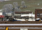 SH100172