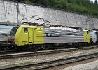 IMG 0243