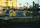 Flex