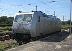 IMG 0054