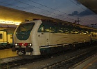 IMG 1185