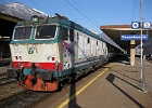 IMG 3189