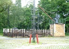 DSCF2213