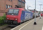 IMG 0341