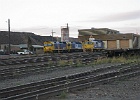 IMG 3937