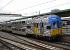 IMG 3633