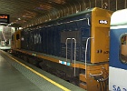 SH100266
