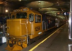 SH100269