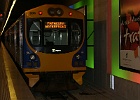 SH100270
