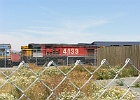 SH101149