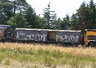 SH101190