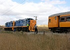 SH101463