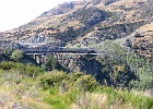 SH101032