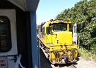 SH101064