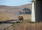 SH100958