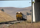 SH100959