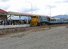 SH102434