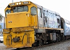 SH102449