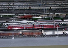 SH104238