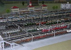 SH104239