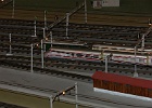 SH104244