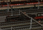SH104250