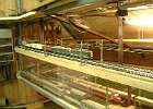 DSCF1781