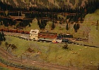 DSCF1785