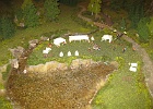 IMG 3011