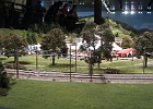 IMG 2856