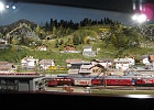 IMG 2861