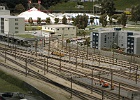 IMG 2885