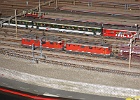 IMG 2886