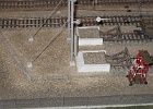 IMG 2893