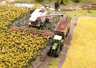 SH103864