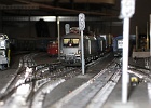 IMG 2667