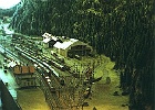 Film 001 12