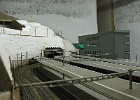 IMG 3233