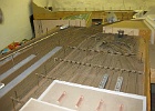 IMG 3237